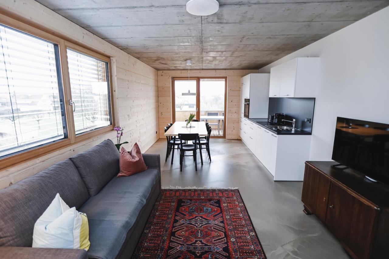 Boutique Apartments Lustenau Nachhaltige Kuehlung Ueber Erdsonde Und Fussbodenkuehlung Εξωτερικό φωτογραφία